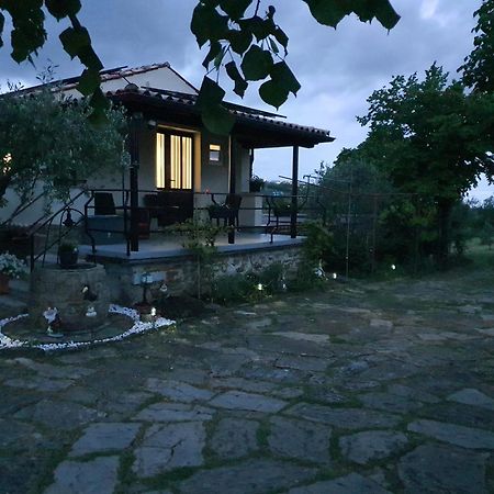 Apartma Vista Baredi Izola Exterior foto